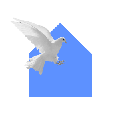 les architectes sont libres chez Archibien